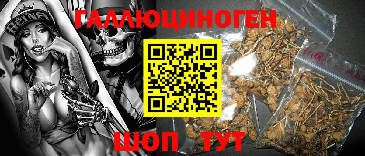 Псилоцибиновые грибы мухоморы Семёнов