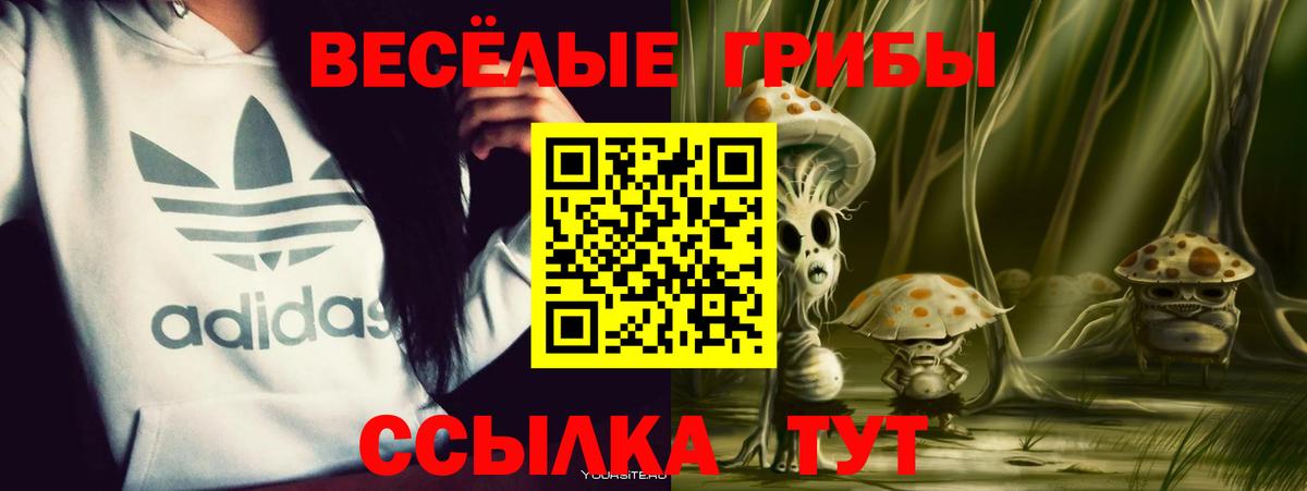 Семёнов  Галлюциногенные грибы GOLDEN TEACHER  Вход с VPN 